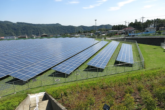 Solar-Plant.jpg